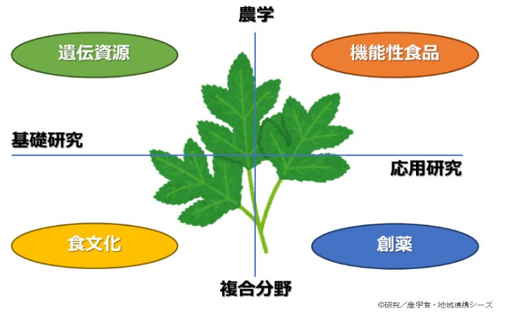 東京農業大学｜研究／産学官・地域連携シーズ｜日本原産のセリ科